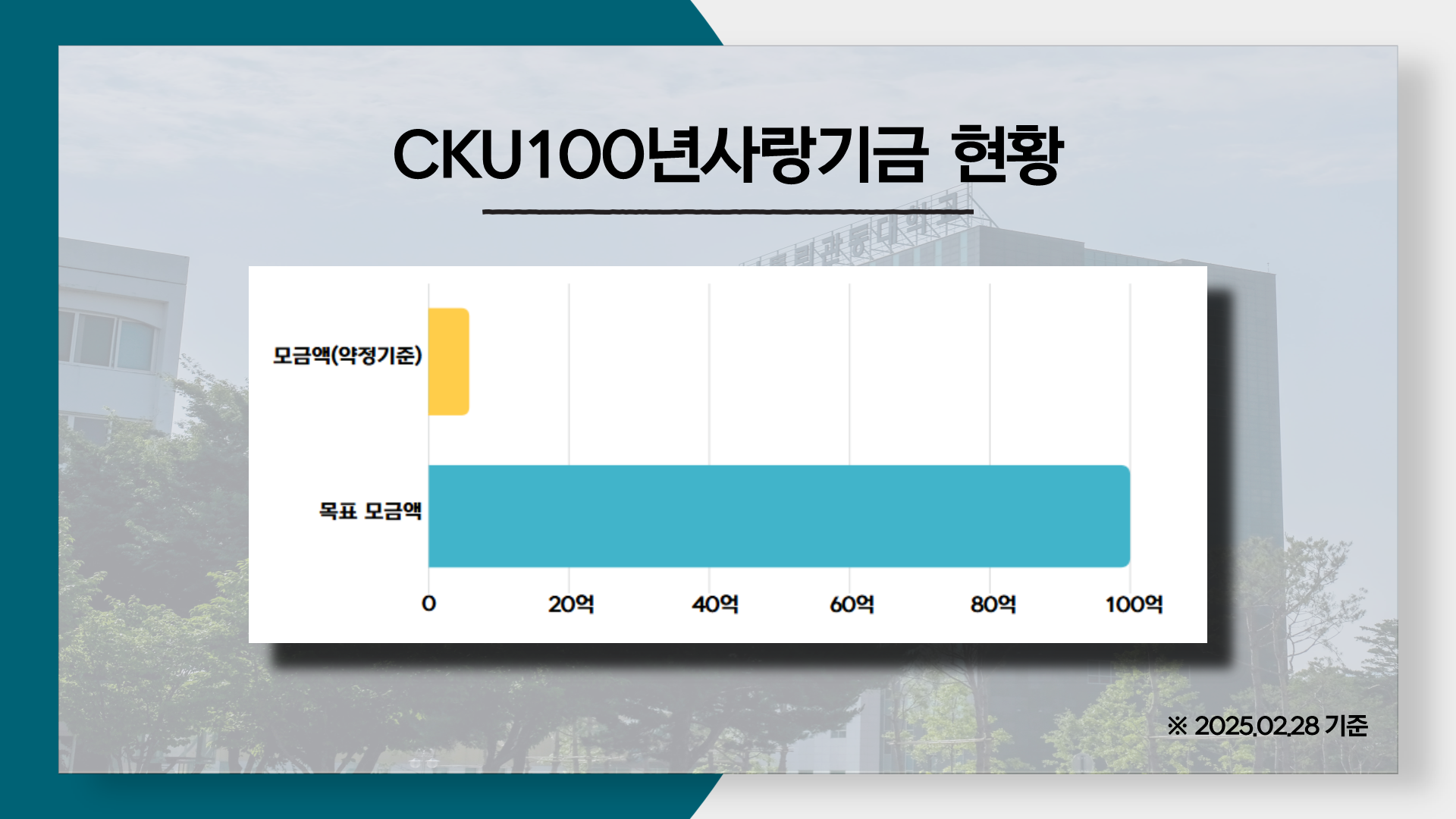CKU100년사랑기금