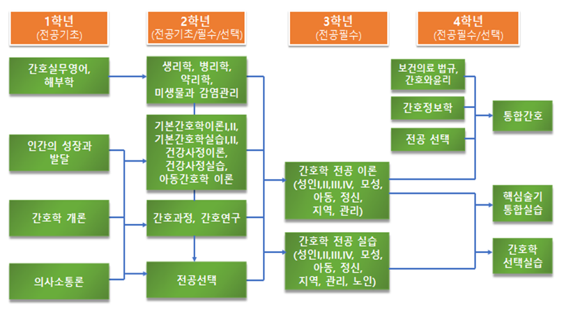 교과목  로드맵